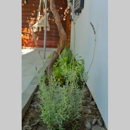 Onore Feriehus Lixouri